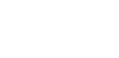 Logo CER Management